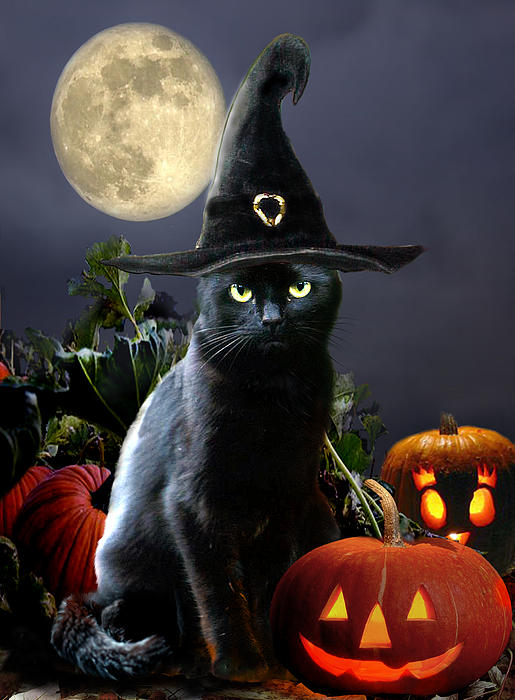 Witchy black Halloween Cat Greeting Card by Gina Femrite display picture 2