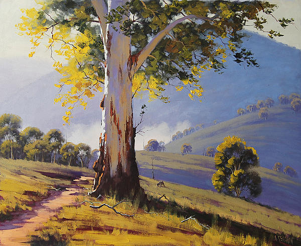 Hilly Australian Landscape iPhone Case by Graham Gercken - Graham ...