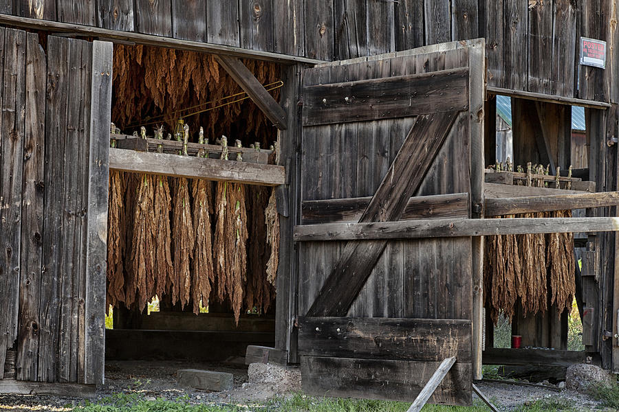 tobacco barn interior Historic Preservation Non-Capital Grant Program Success Story: Southern Maryland Survey  Our History, Our Heritage kid rooms Source Story: Smokehouse Blend 