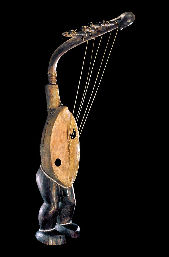 African Harp Photograph by Patrick Landmann / Science Photo Library ...