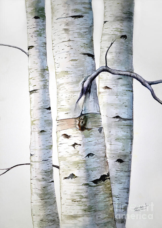 Birch Trees in watercolor Painting by Christopher Shellhammer - Pixels