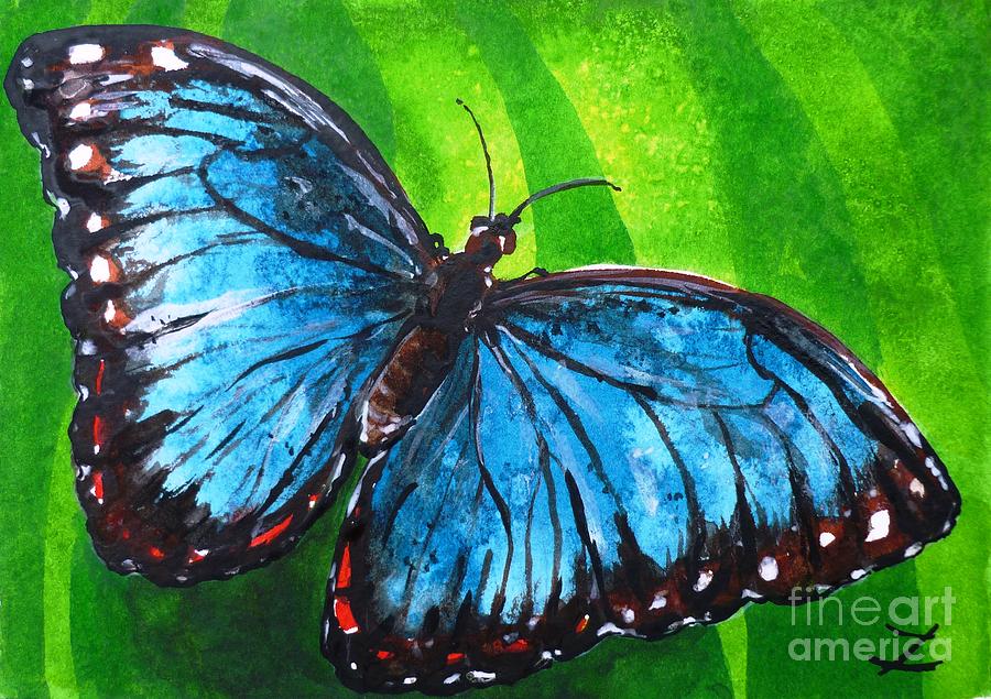 Blue Morpho Butterfly Painting by Zaira Dzhaubaeva - Pixels