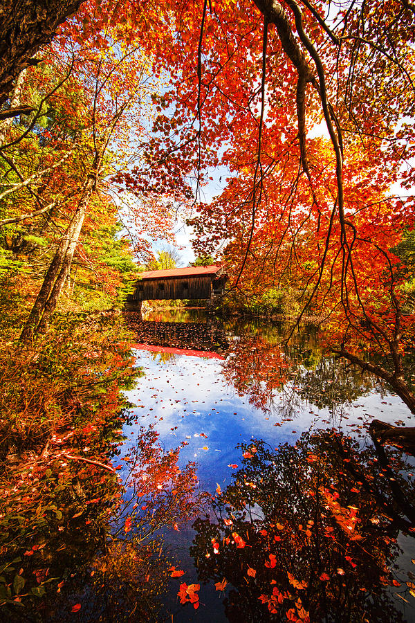 Fall at Waterloo by Robert Clifford