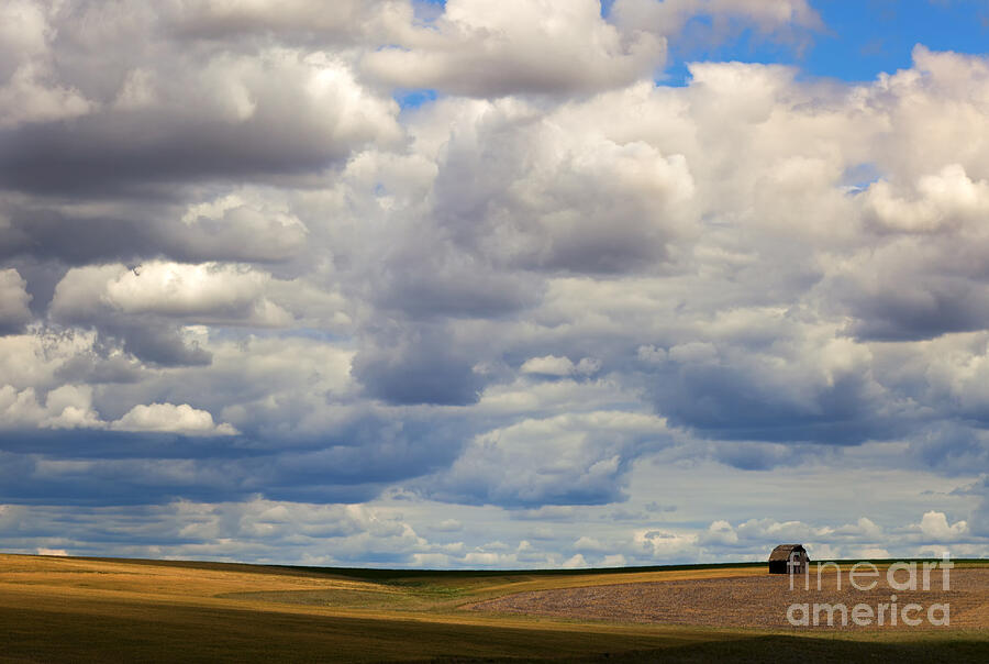 Insignificant Photograph by Michael Dawson - Pixels