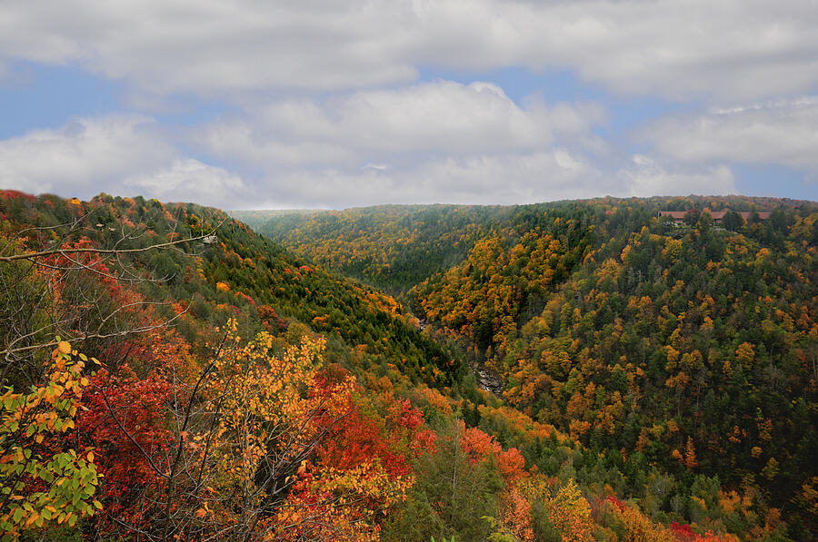 Looking upriver at Blackwater river Gorge in fall from Pendleton Point ...