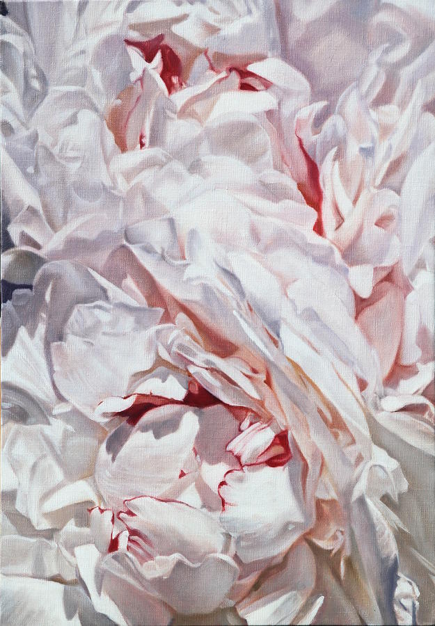 Peonies petals 55 x 38cm by Thomas Darnell