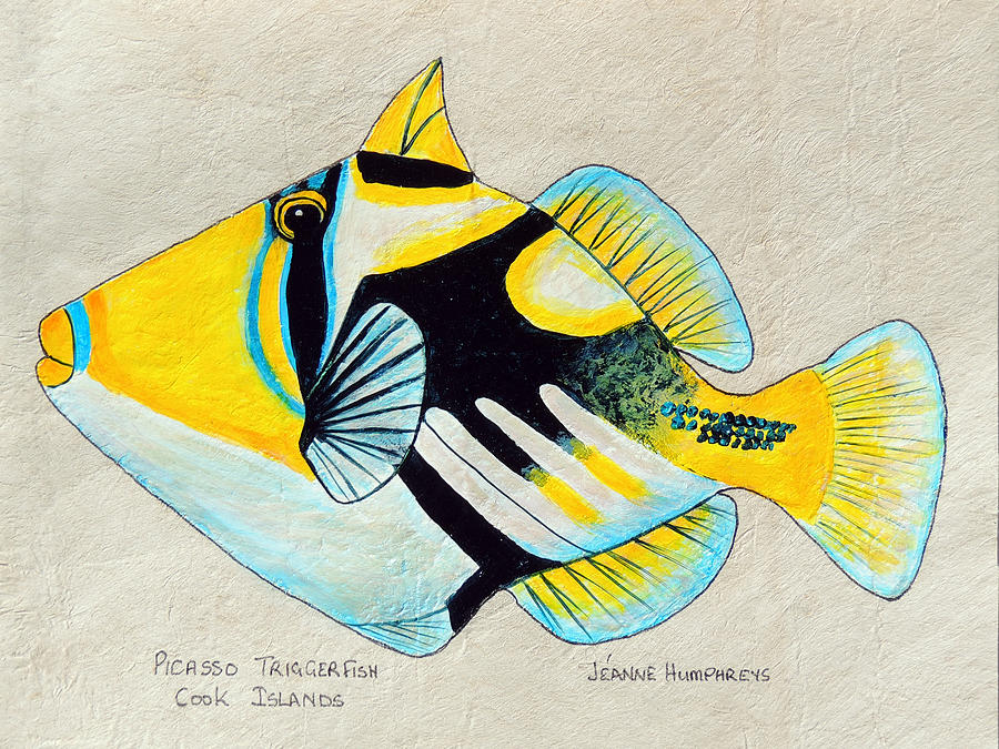 Triggerfish Drawing