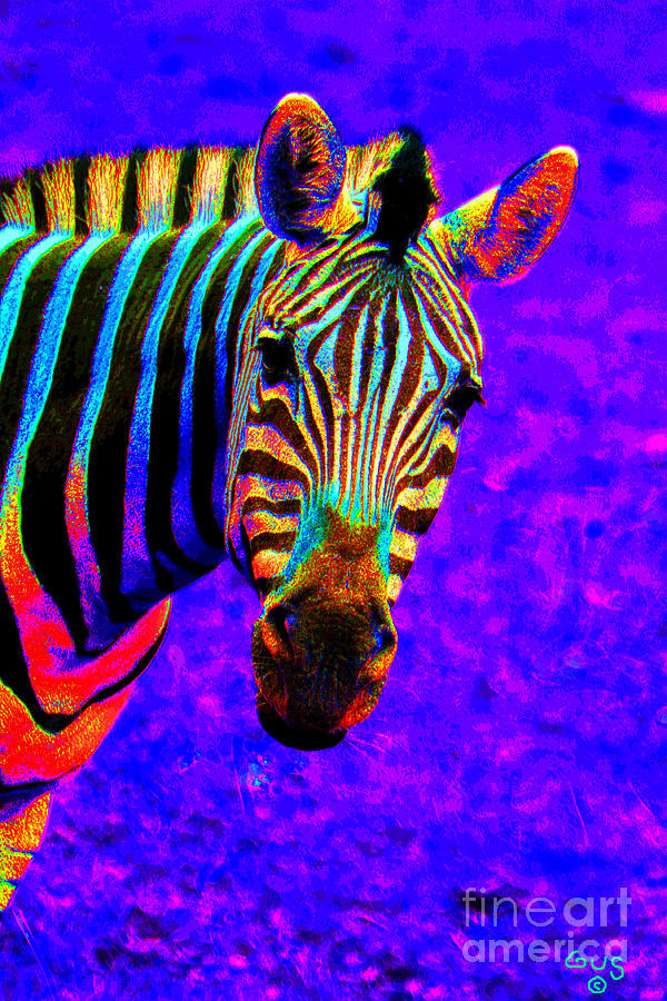 rainbow-zebra-nick-gustafson.jpg