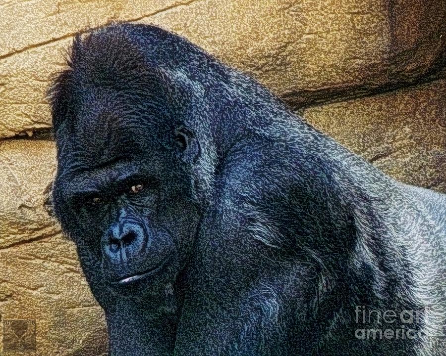 Silverback by Dale Crum