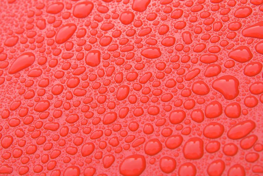 Water Droplets Photograph by Steve Horrell / Science Photo Library - Pixels