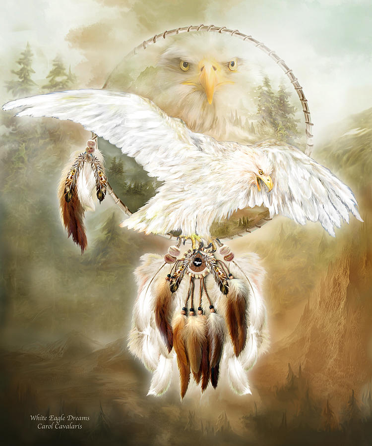 White Eagle Dreams Mixed Media by Carol Cavalaris - Pixels