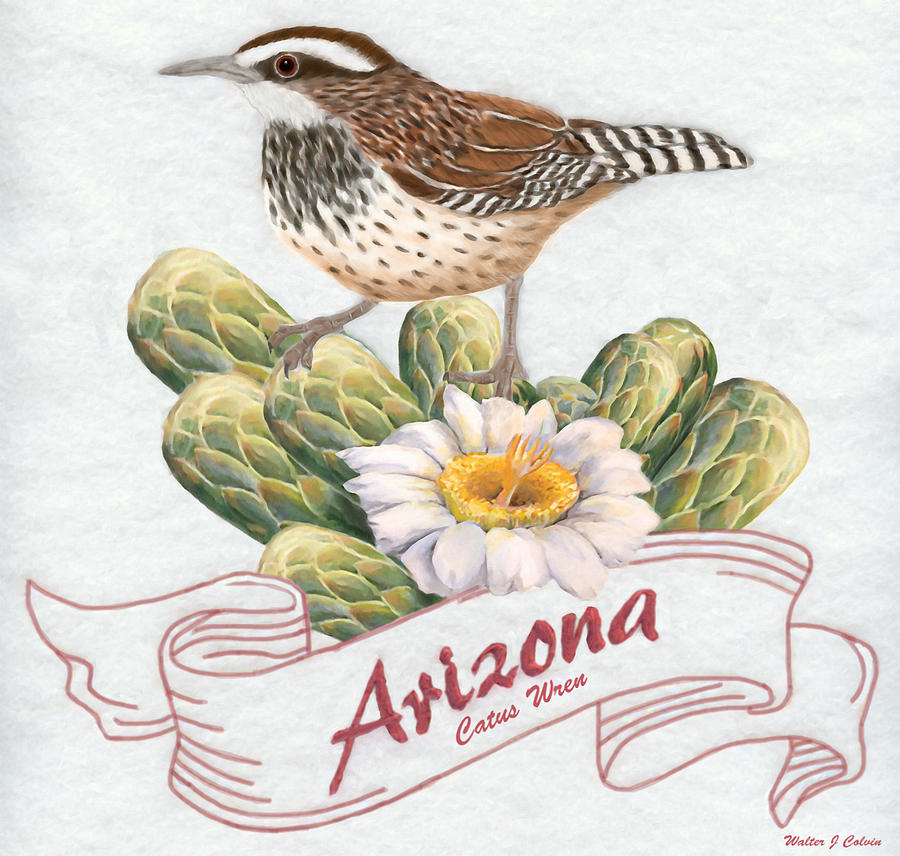 Arizona State Bird Cactus Wren by Walter Colvin