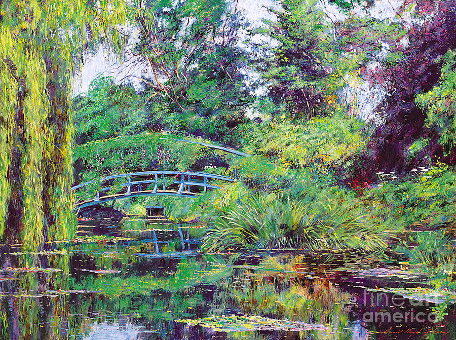 Wisteria Bridge Giverny by David Lloyd Glover