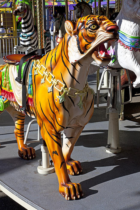 Tiger carousel ride Ornament by Garry Gay - Garry Gay Official Website