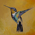 Hummingbird