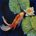 Koi and White Lily