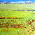 Marsh memory