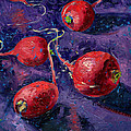 Radishes
