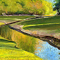 Creek Bed