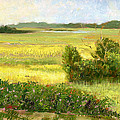Holden Beach Marsh 2