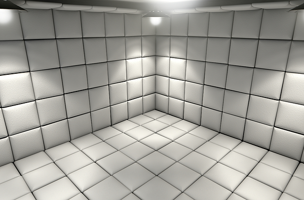Padded Cell #5 Jigsaw Puzzle by Allan Swart - Pixels