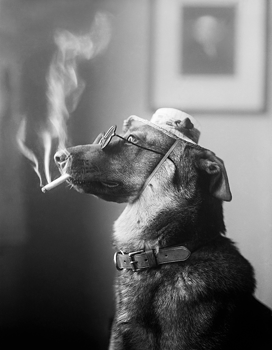 can the president ban cigarettes The Proposed Ban on Menthol Cigarettes Is Dividing Racial Justice Advocates