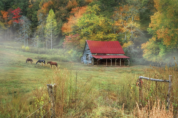 Murphy Horse Stable Greeting Card by Lori Deiter