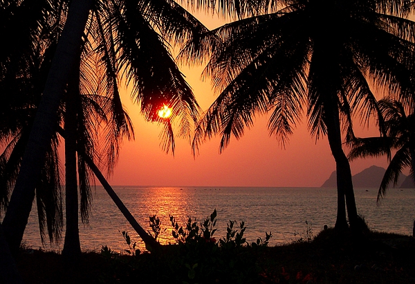 Sunrise Art