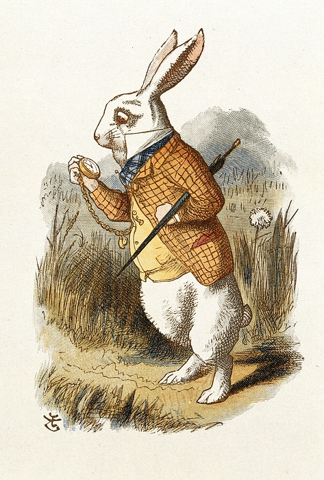 White Rabbit Shower Curtain by John Tenniel - Masterpieces Of Art