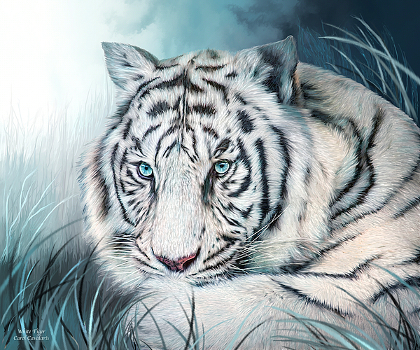 White Tiger - Spirit Of Sensuality Greeting Card by Carol Cavalaris