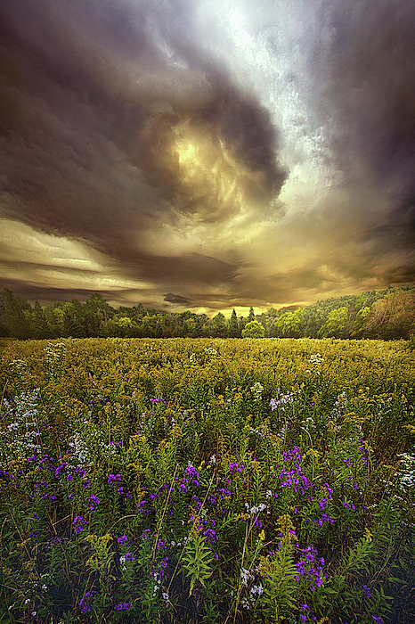 Autumn Falls #1 Zip Pouch by Phil Koch - Phil Koch Official Website