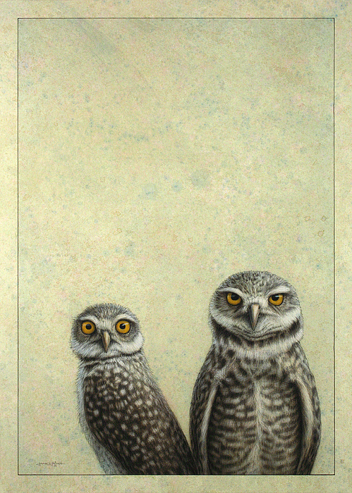Funny Art