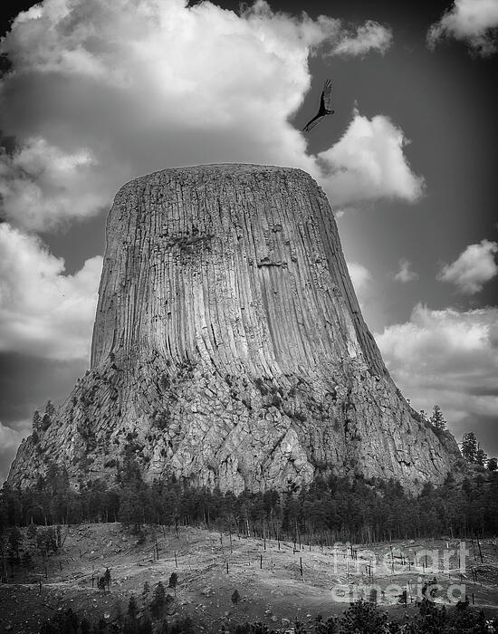 Devils Tower with Soaring Bird Beach Towel by Nick Zelinsky Jr - Nick ...
