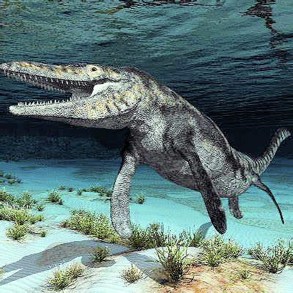 Dinosaur Mosasaurus Ornament by Robert Banach - Robert Banach Official ...