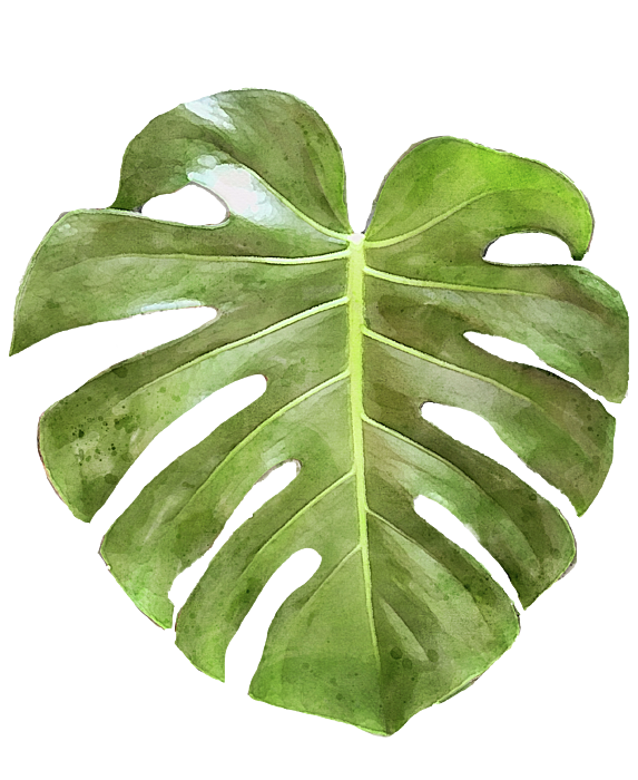 Large Monstera Leaf Framed Print by Deborah League | Abstract Framed Print | Large Framed Art | Green Framed Wall Art
