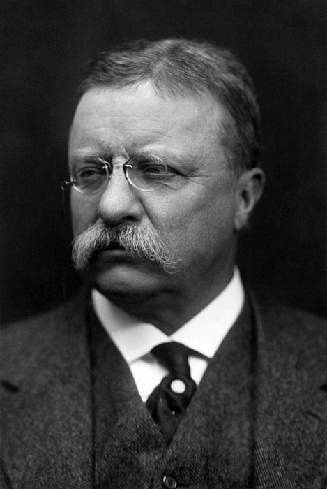 Theodore Roosevelt Portrait - 1915 Sticker by War Is Hell Store - War ...