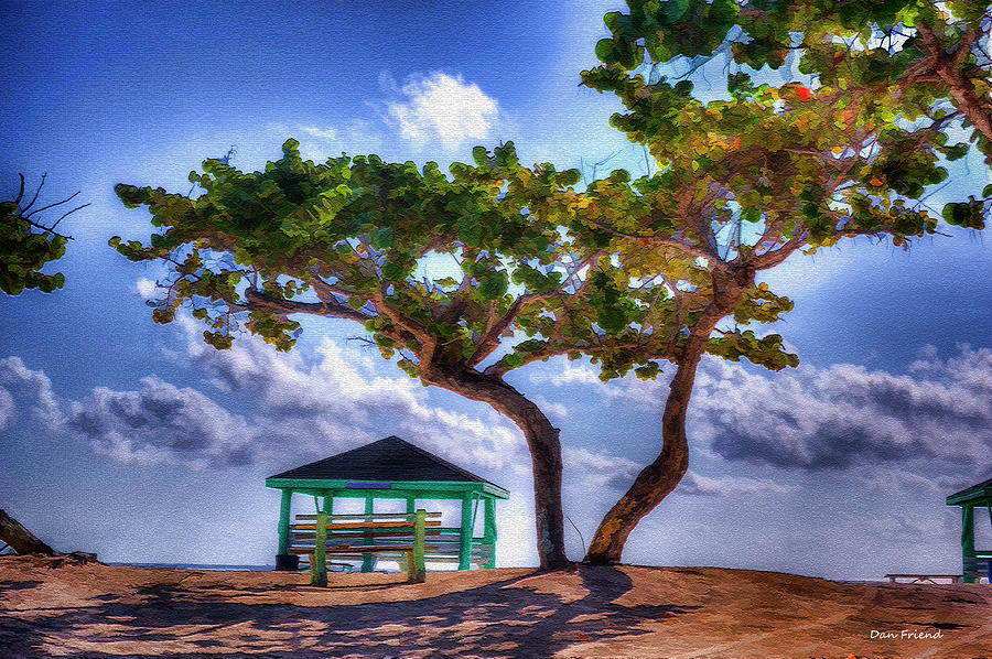 Beach scene with tree by Dan Friend