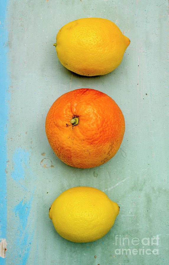Citrus fruit and orange Photograph by Bernard Jaubert - Pixels