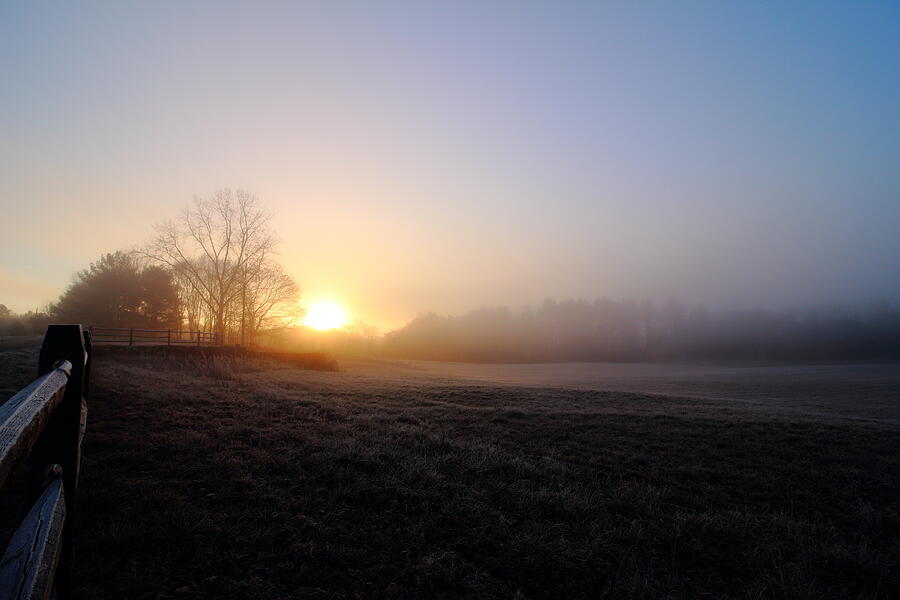 December Morning Light by Neal Eslinger