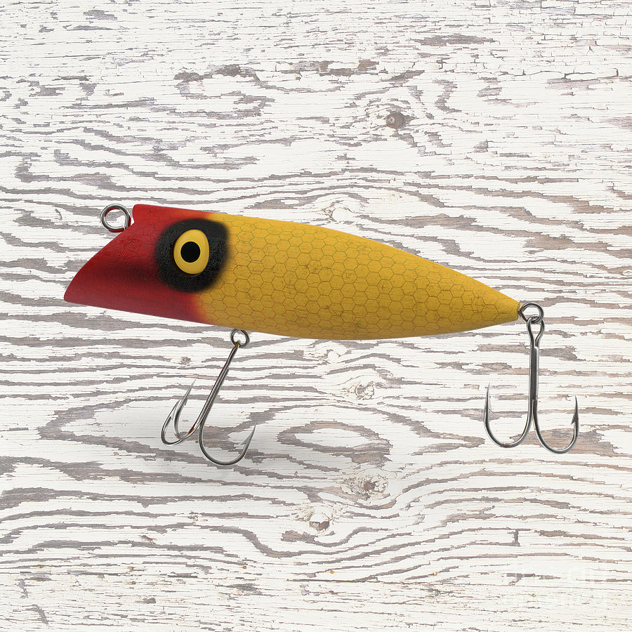 art fishing lures Whittling Folk-Art Style Lures: Complete Instructions, Nine Fun Lure Patterns, and Bonus Instructions for a Wooden Bobber Over 700 color photos and fascinating text focused on vintage and contemporary folk art lures Vintage Fishing Lure Wall Hangings