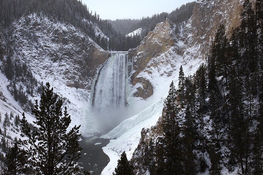 Lower Falls, Yellowstone River by Mike Buchheit