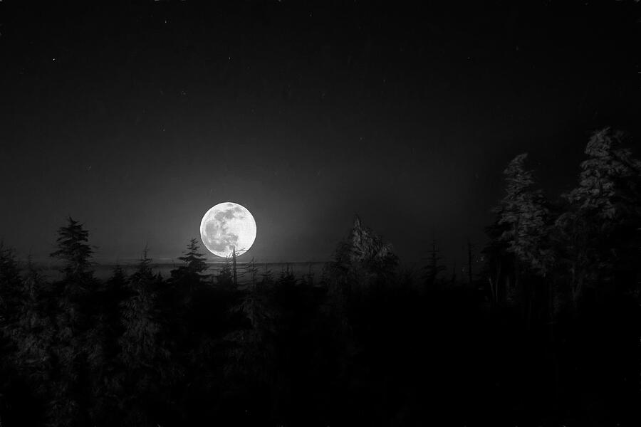 Moon rising by Dan Friend
