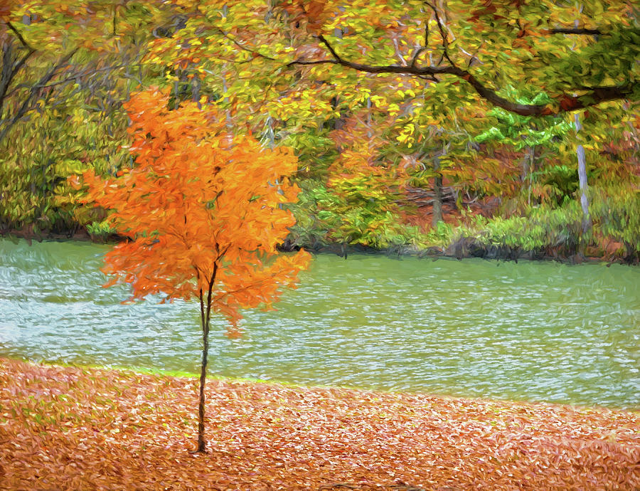 My First Real Color This Fall Tree by Sandi OReilly