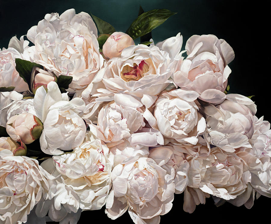 Peonies Eclater 166 X 200 cm by Thomas Darnell