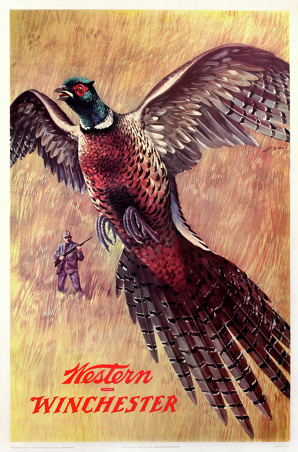 Winchester-Western Pheasant Hunting by Weimer Pursell