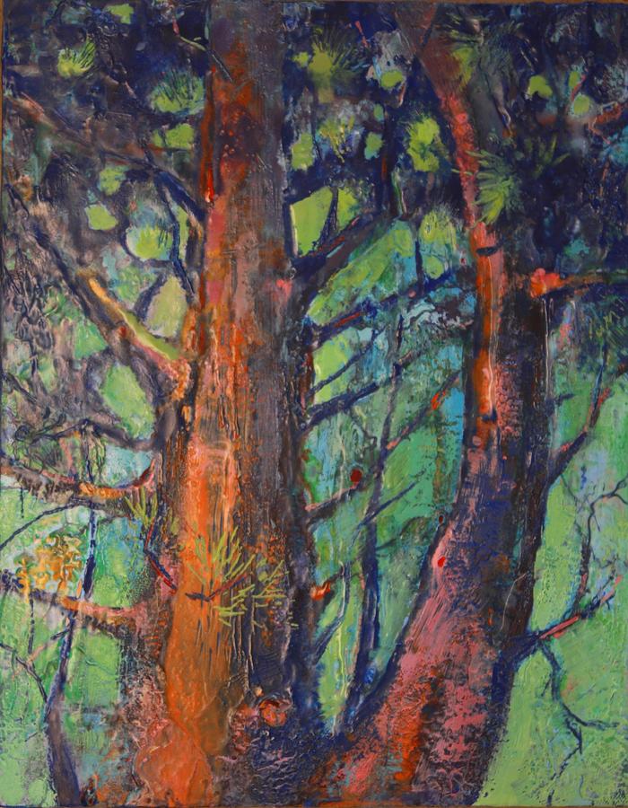 Pines by Christine Wenderoth