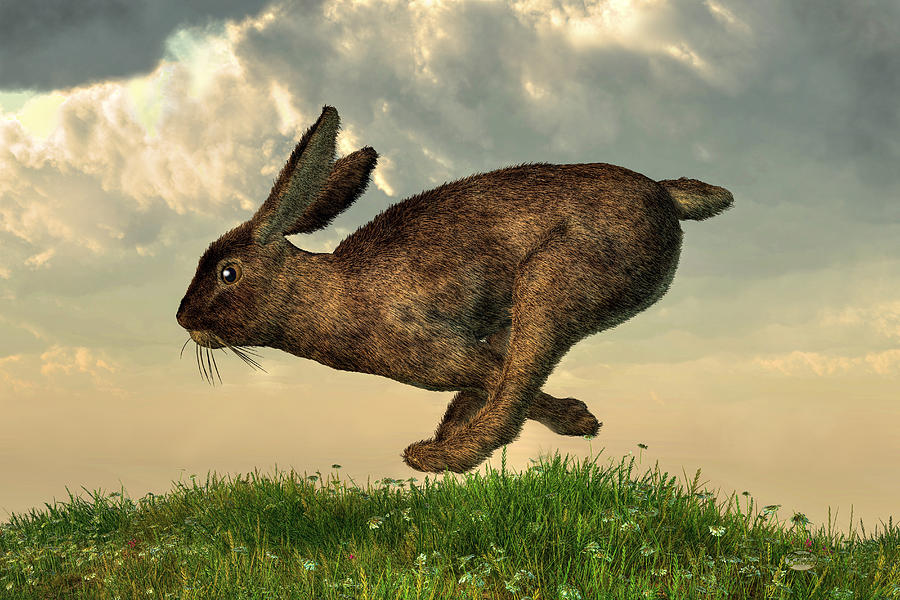 Running Rabbit Digital Art by Daniel Eskridge - Pixels