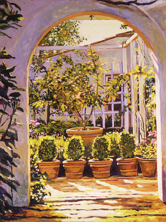 the-lemon-tree-courtyard-david