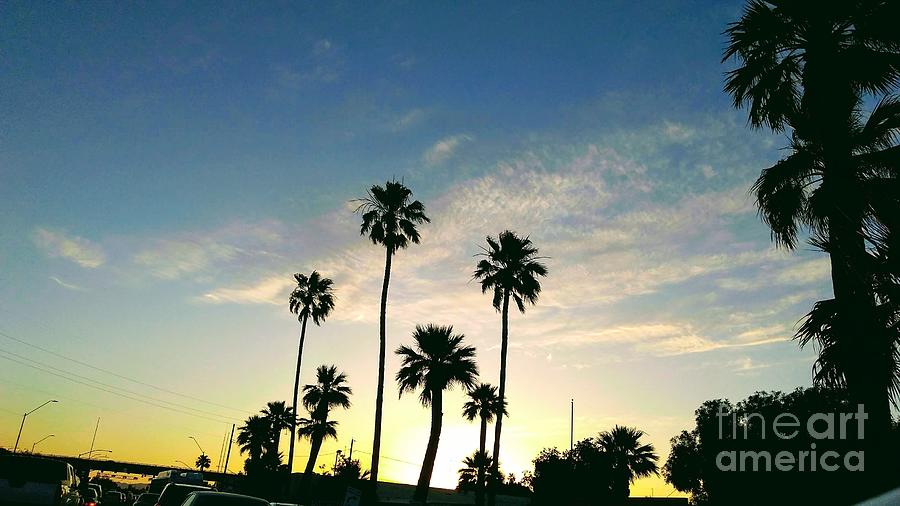 Sunset #8 Photograph by Zshop -