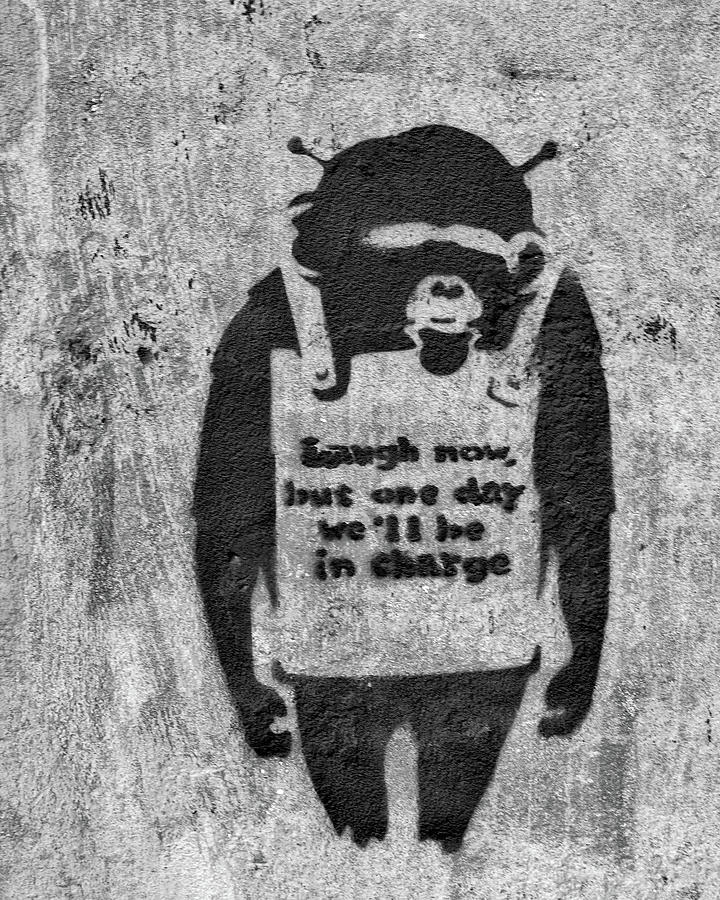 Banksy Chimp Laugh Now Graffiti by Gigi Ebert
